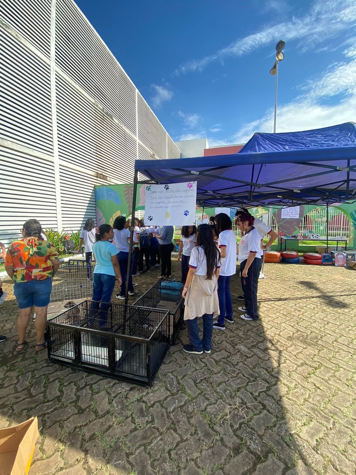 Vereadora Márcia Socorristas Animais participa de feira de adoção de animais na capital 6 Vereadora Márcia Socorristas Animais participa de feira de adoção de animais na capital