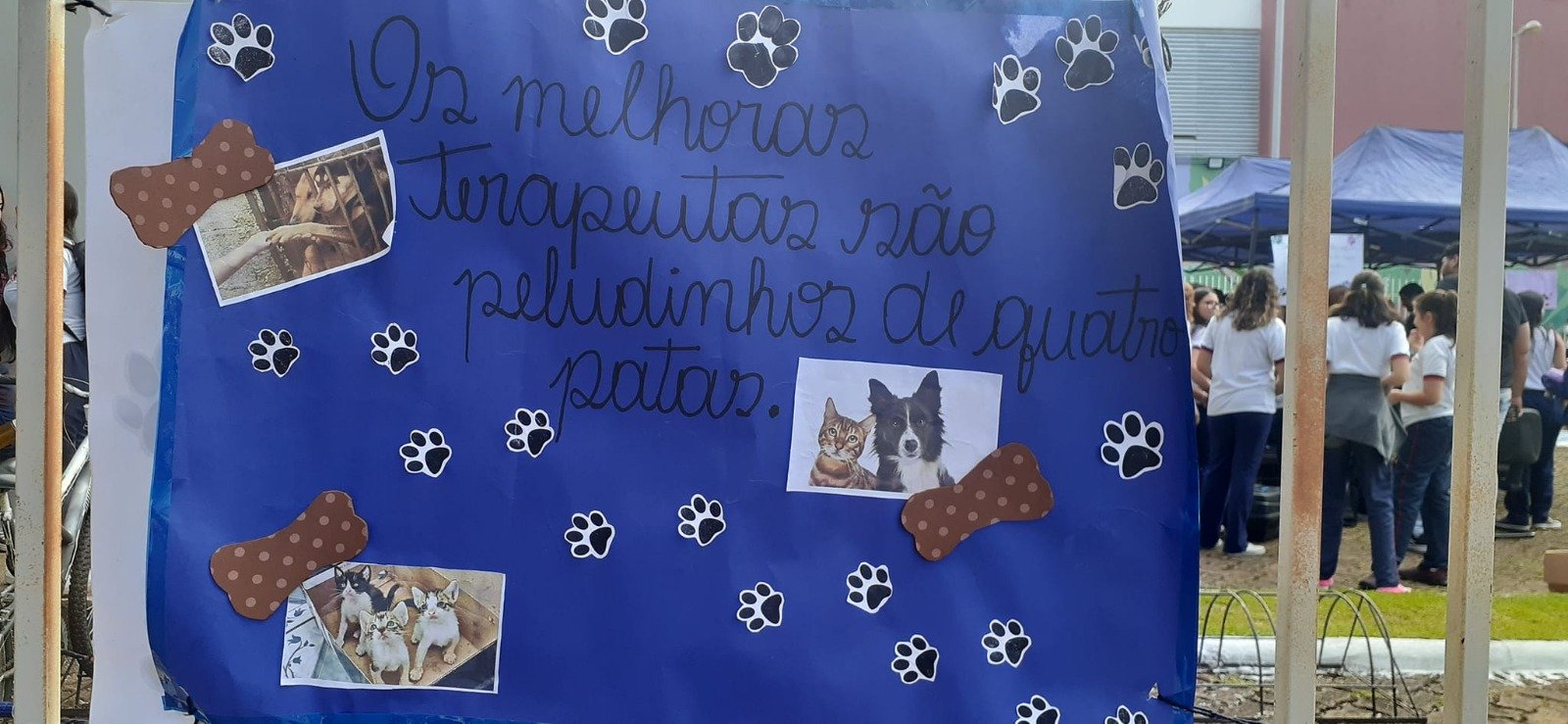 Vereadora Márcia Socorristas Animais participa de feira de adoção de animais na capital 5 Vereadora Márcia Socorristas Animais participa de feira de adoção de animais na capital