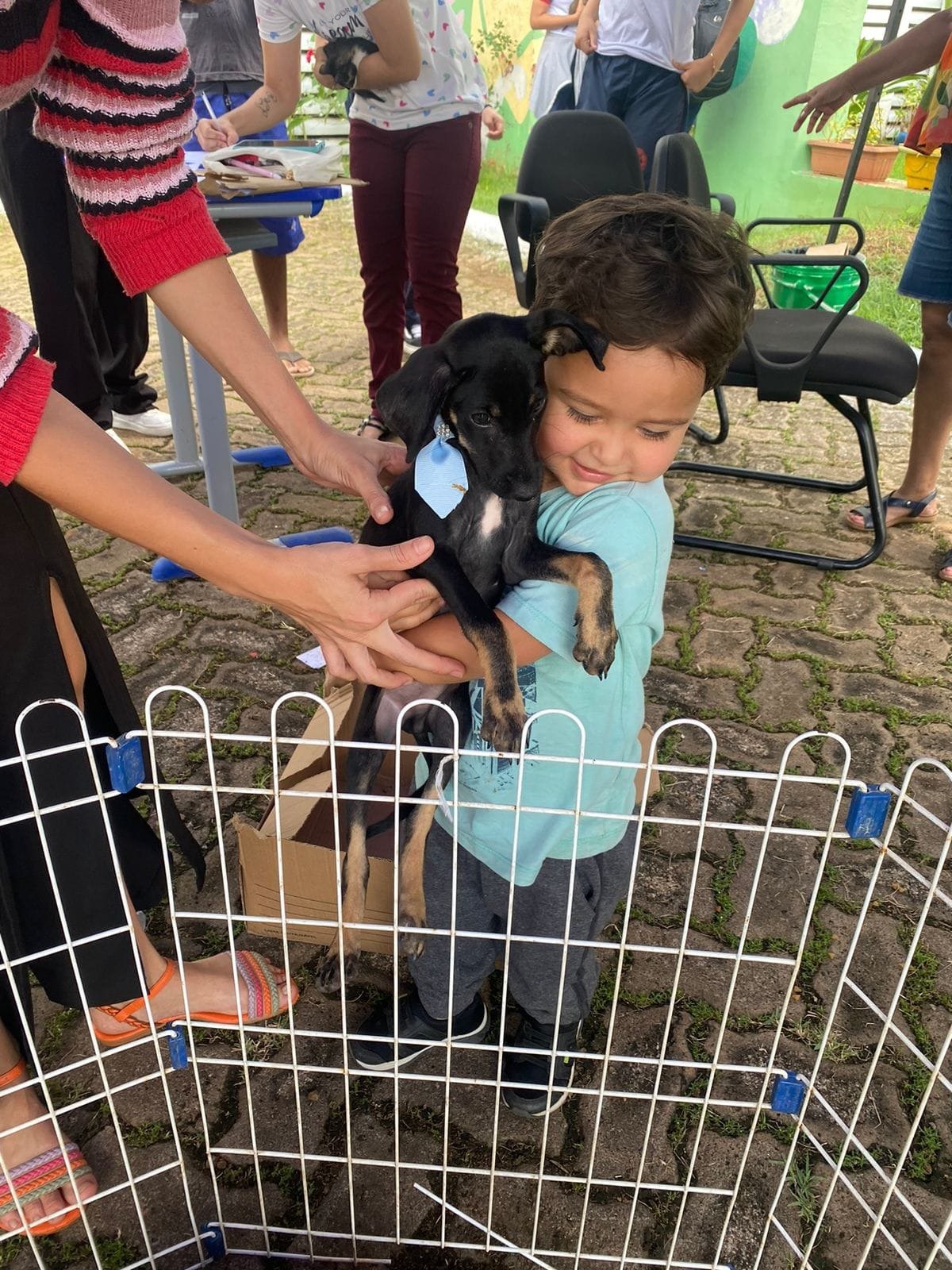 Vereadora Márcia Socorristas Animais participa de feira de adoção de animais na capital 4 Vereadora Márcia Socorristas Animais participa de feira de adoção de animais na capital