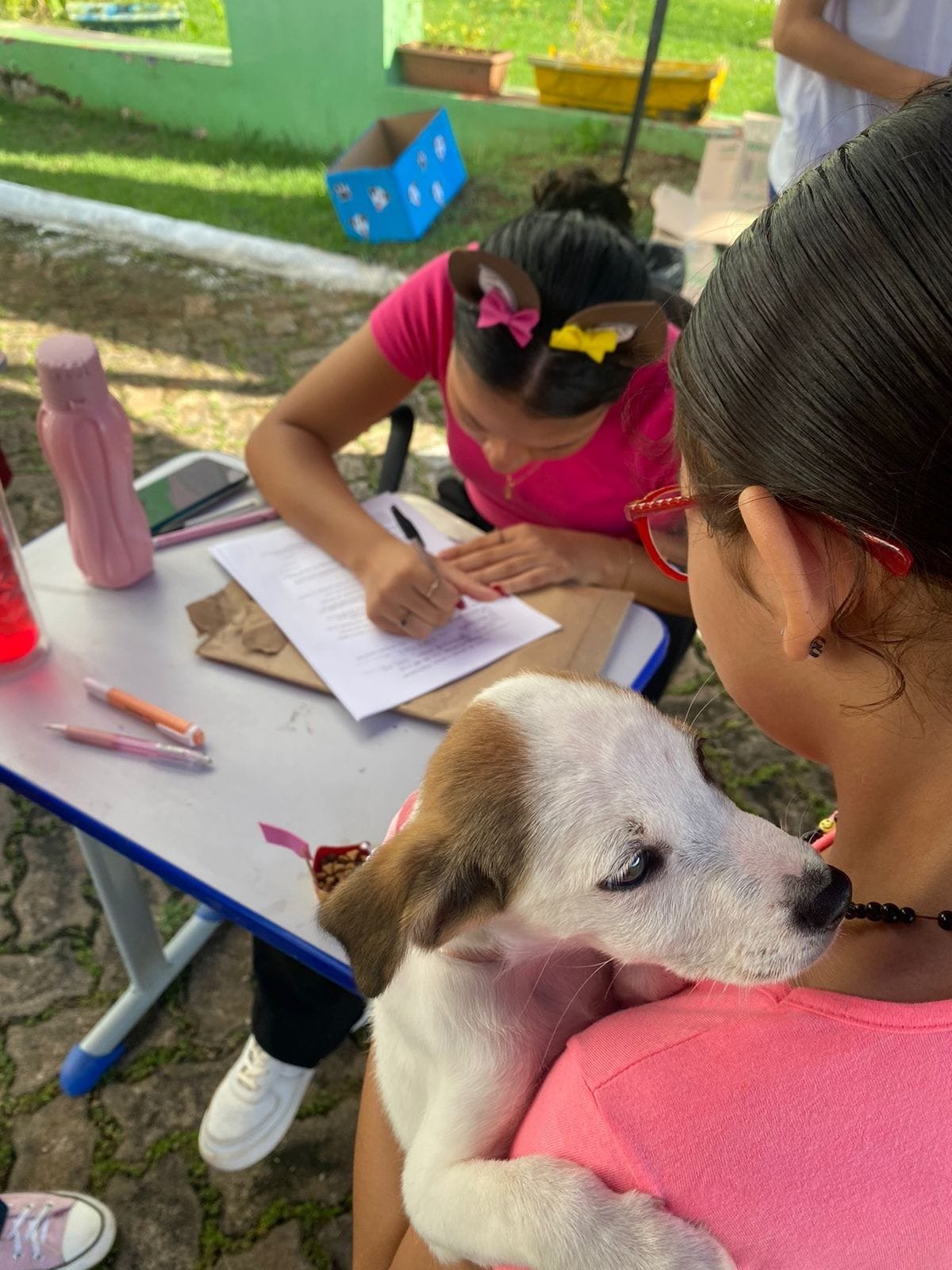 Vereadora Márcia Socorristas Animais participa de feira de adoção de animais na capital 3 Vereadora Márcia Socorristas Animais participa de feira de adoção de animais na capital