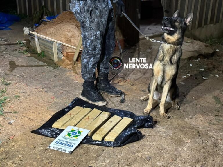 Com ajuda de cães farejadores, PM encontra droga em casa abandonada