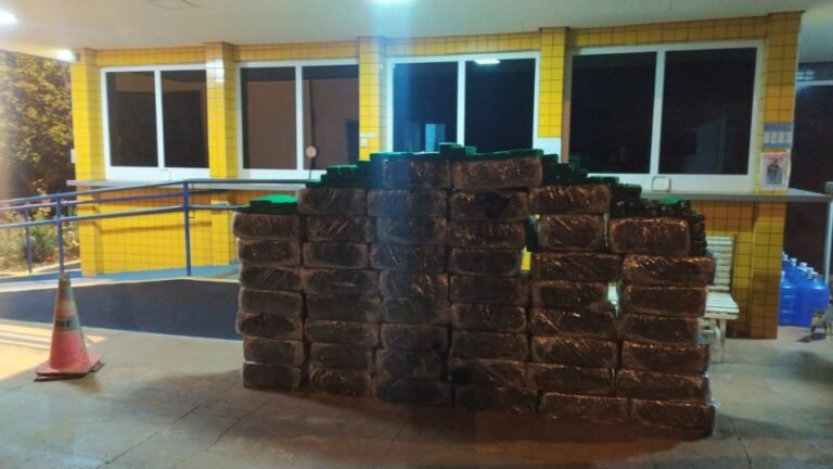 Polícia apreende 1 tonelada de droga em apreensões em RO e GO
