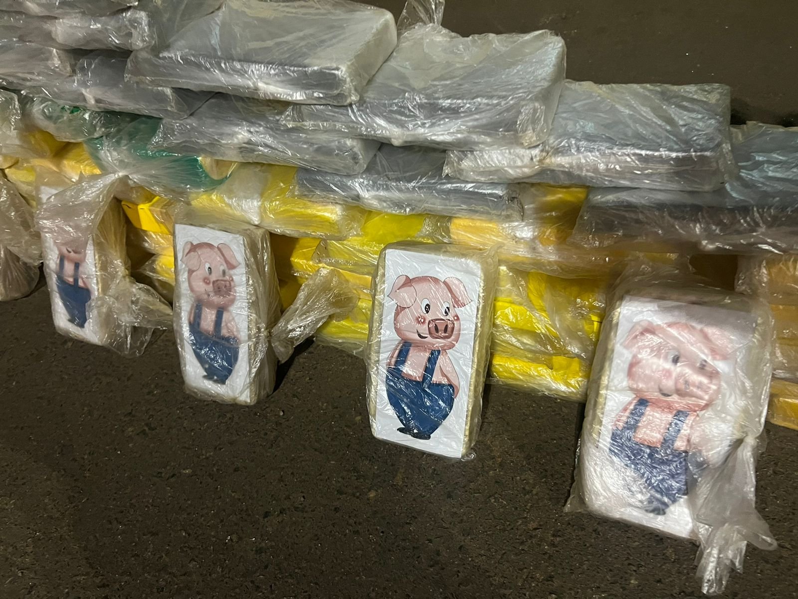 Polícia apreende 1 tonelada de droga em apreensões em RO e GO