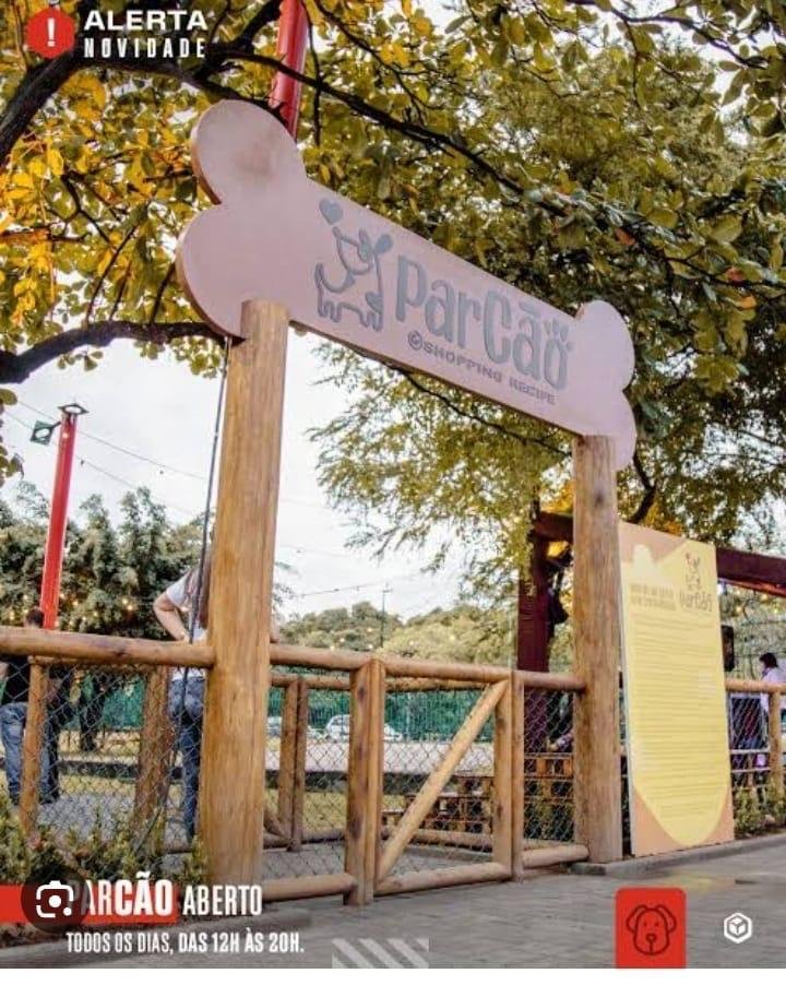 Vereadora Márcia Socorristas conquista construção de playground para pets no Skate Park