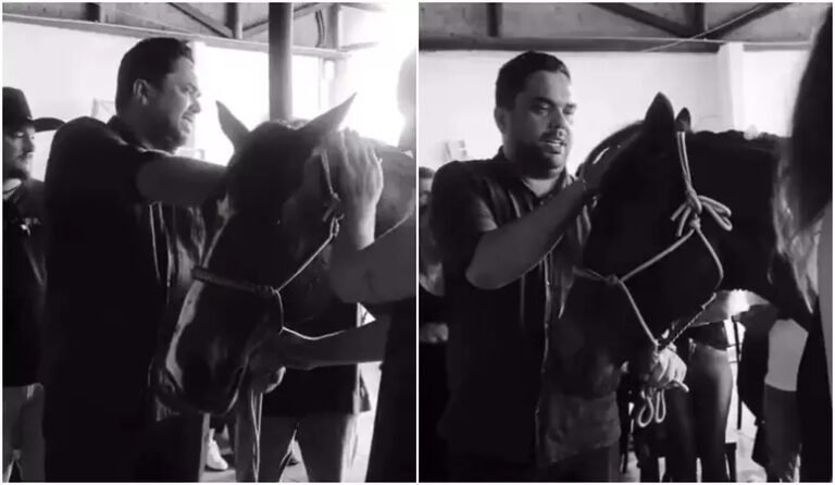 Criança morre após cair de égua e animal é levado em funeral para se despedir de menina – VEJA O VÍDEO