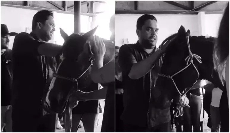 Criança morre após cair de égua e animal é levado em funeral para se despedir de menina - VEJA O VÍDEO