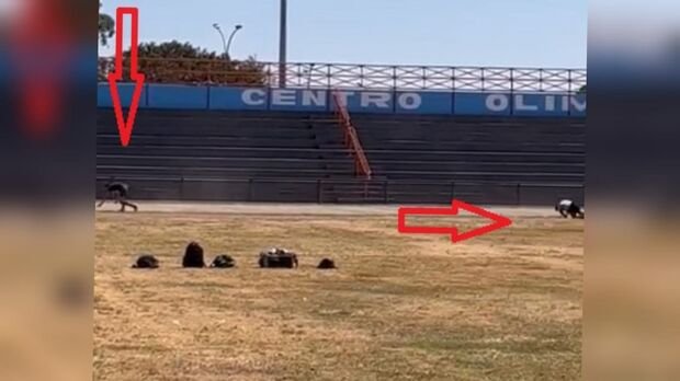 Vídeo: morre candidato de 25 anos que passou mal em prova física da PM