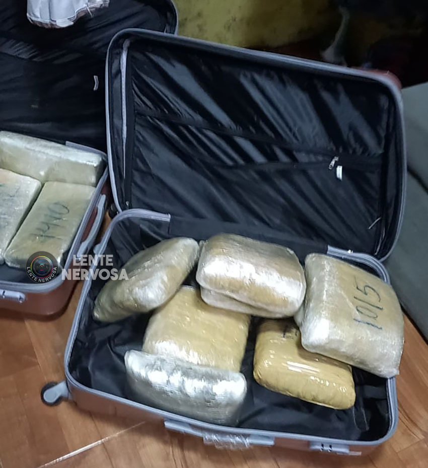 Influencer da maconha e namorado são condenados por tráfico de drogas