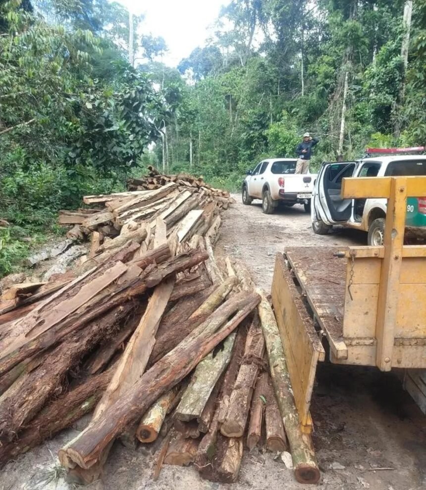 Justiça determina desocupação da Estação Ecológica de Samuel em RO