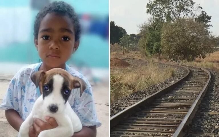 Criança de 7 anos tem pernas amputadas após ser atropelada por trem