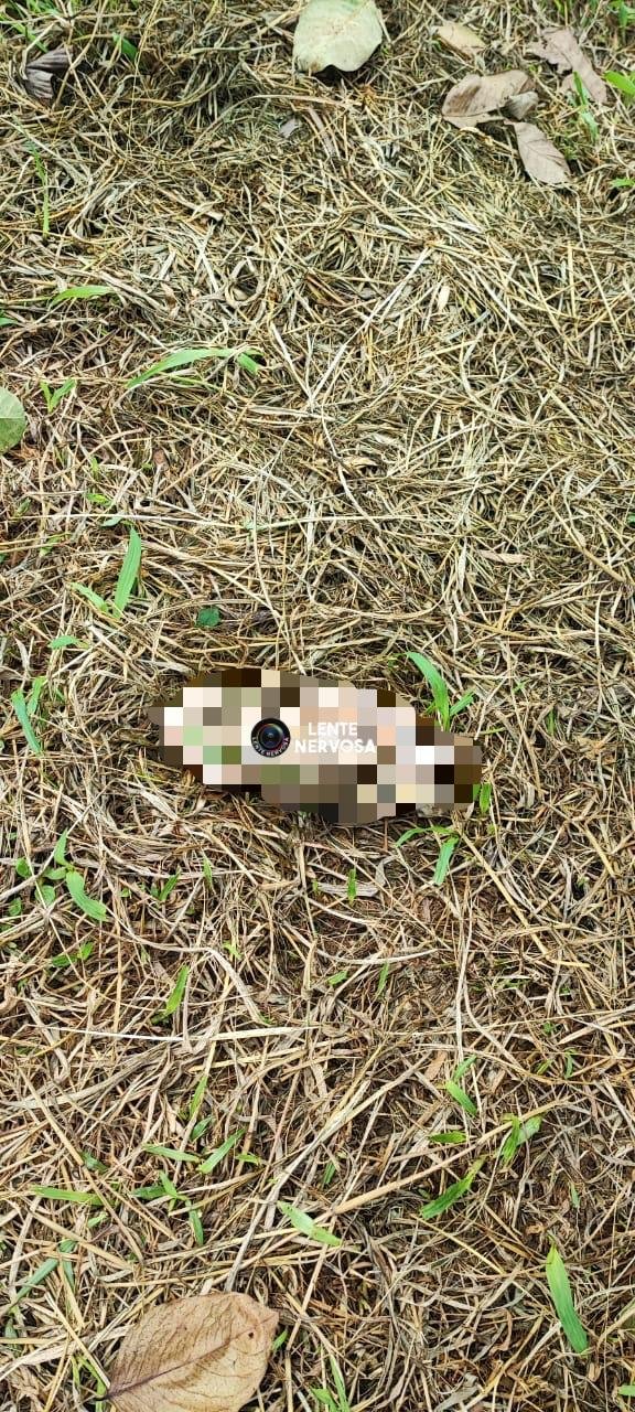 MACABRO - Pé humano encontrado em boca de cachorro desencadeia investigação policial 2 MACABRO - Pé humano encontrado em boca de cachorro desencadeia investigação policial