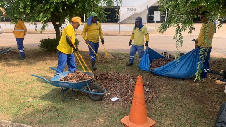 Equipes trabalham com mutirão de limpeza em vários pontos da capital