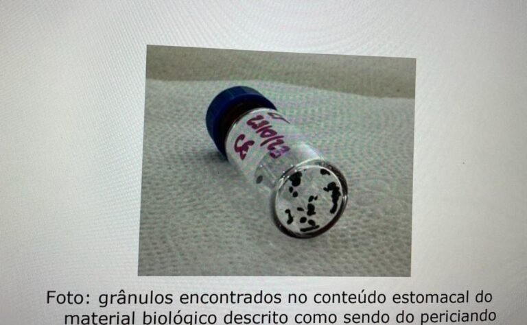 ‘Chumbinho’: o que é o veneno usado por mulher para matar o marido de 71 anos em Rondônia