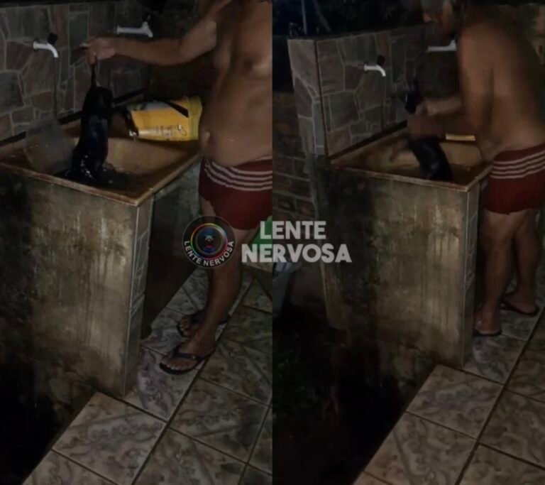 DESUMANO – Ex-vereador é flagrado em ato brutal contra cachorro