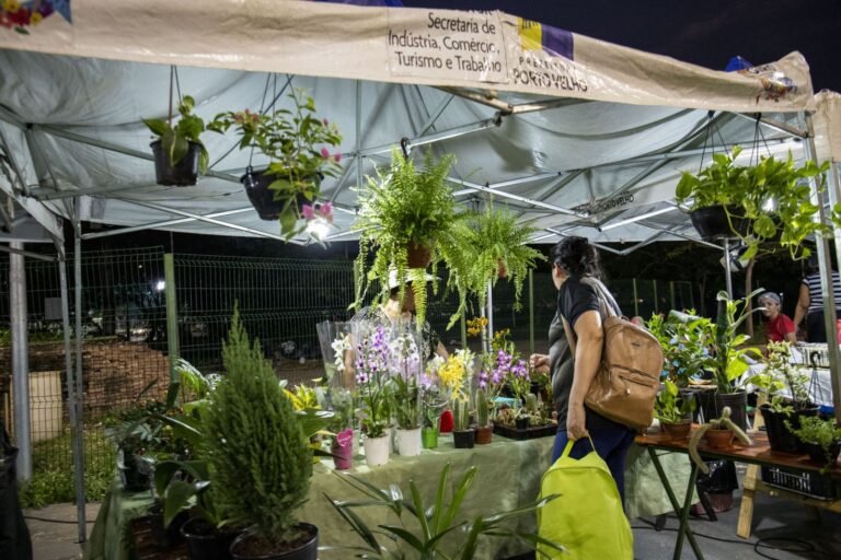 Prefeitura inicia a instalação de semáforos inteligentes para melhorar fluxo do trânsito em Porto Velho