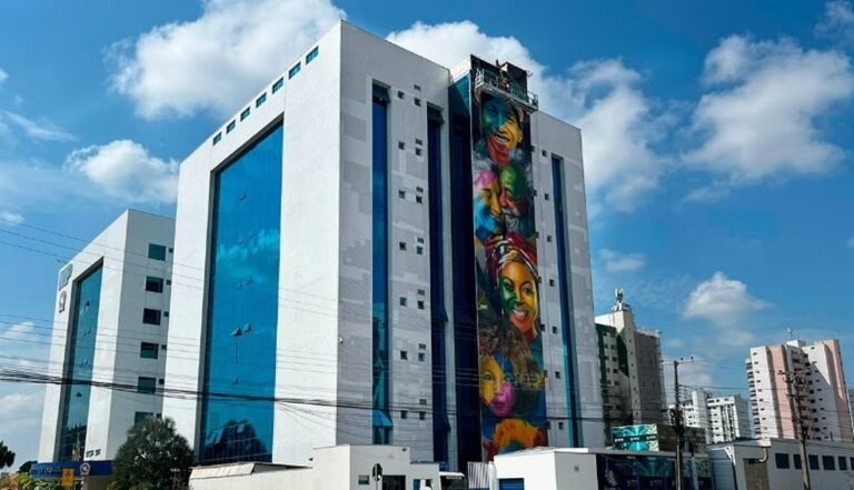 Primeiro mural de Kobra em Rondônia celebra diversidade e busca incentivar arte de rua no estado