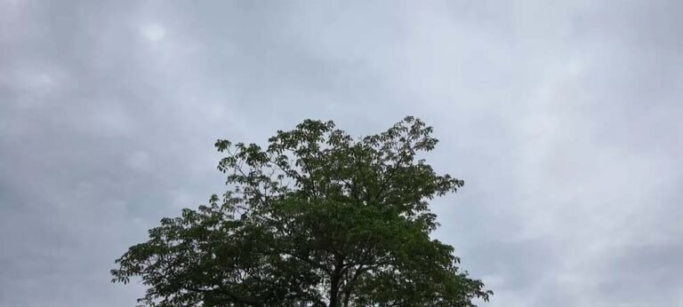 Inmet prorroga alerta de chuvas intensas em Rondônia