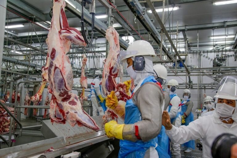 Rondônia gera mais de 124 mil empregos com carteira assinada em 2023