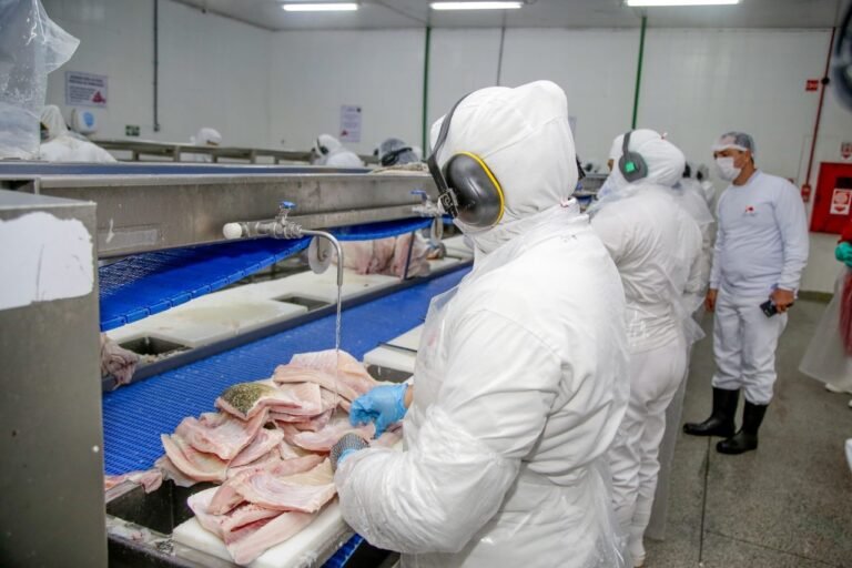 Mais de 2 mil vagas de empregos estão abertas no “Geração Emprego”