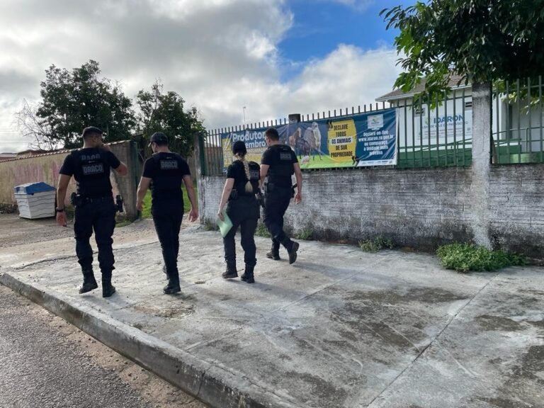 OPERAÇÃO ÁPIS – Draco2 e Idaron desarticulam associação criminosa em RO e MT