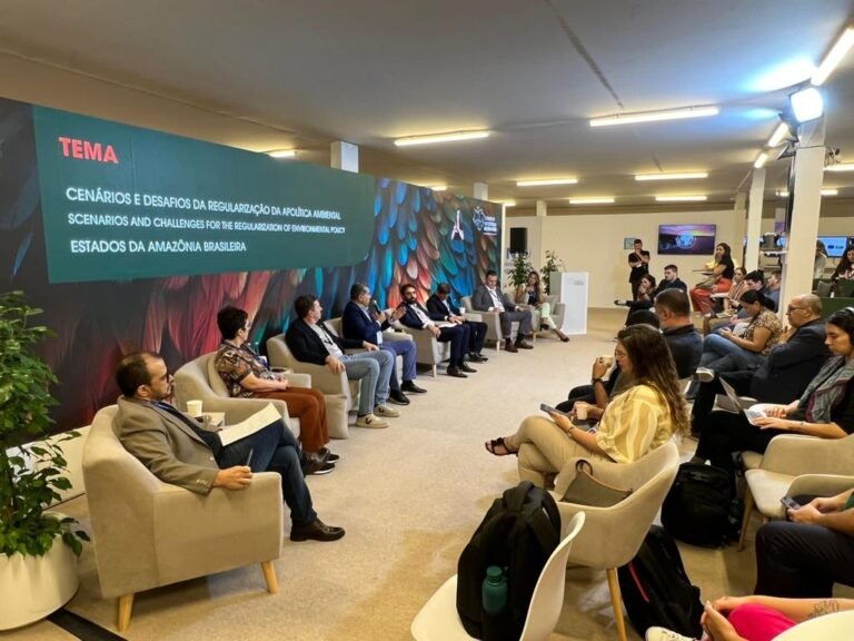 Cenários e desafios da regularização da política ambiental foram abordados durante a COP 28