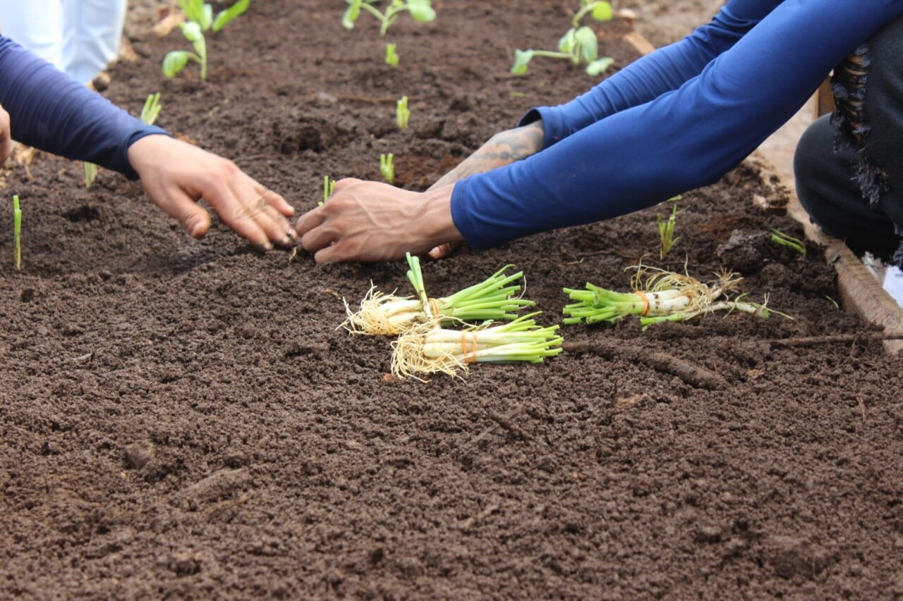 Porto de Porto Velho recebe “Selo Resgata” por contribuir com a ressocialização de reeducandos do Sistema Prisional 1 Porto de Porto Velho recebe “Selo Resgata” por contribuir com a ressocialização de reeducandos do Sistema Prisional