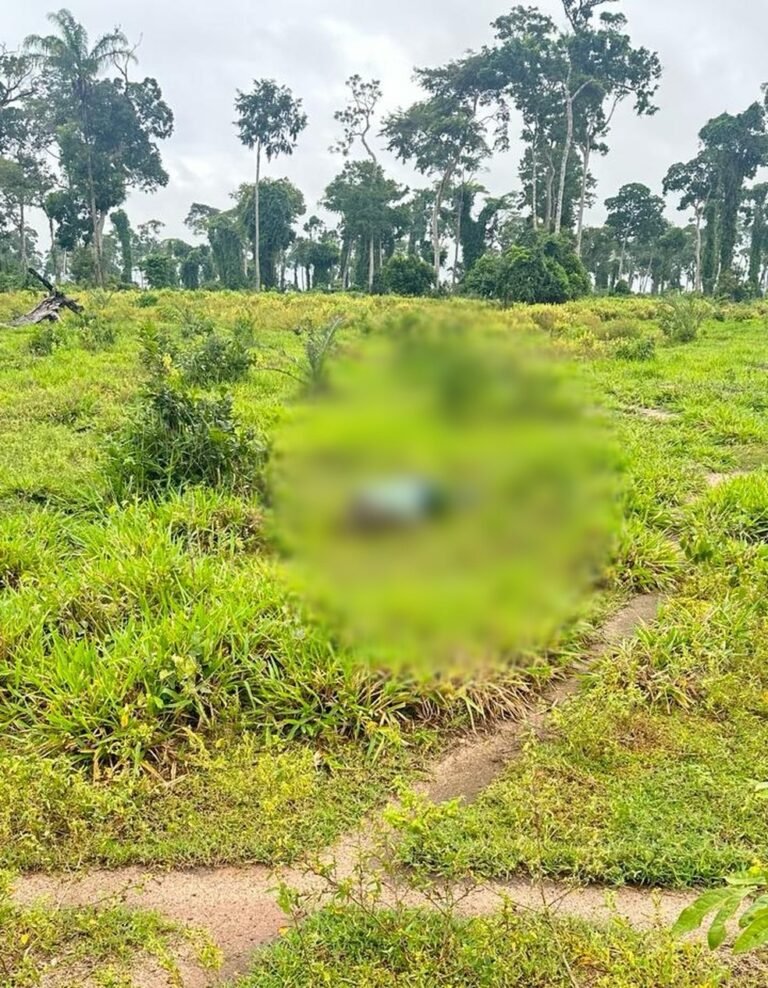 Últimas Notícias 4 Suspeito de matar colega de trabalho e jogar corpo no pasto é preso pela polícia, em RO