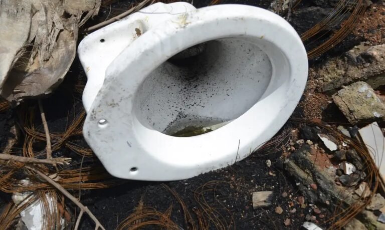 Casos de dengue no Rio de Janeiro aumentam 56% em uma semana