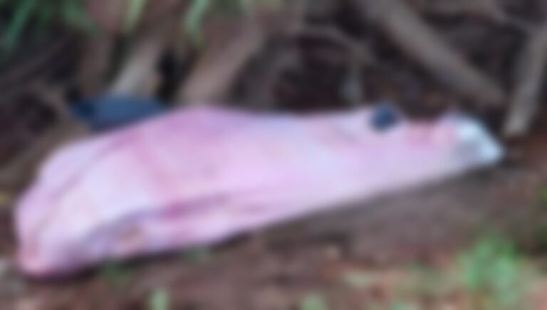 Últimas Notícias 5 IDENTIFICADA – Garis encontram mulher morta e enrolada em lençóis