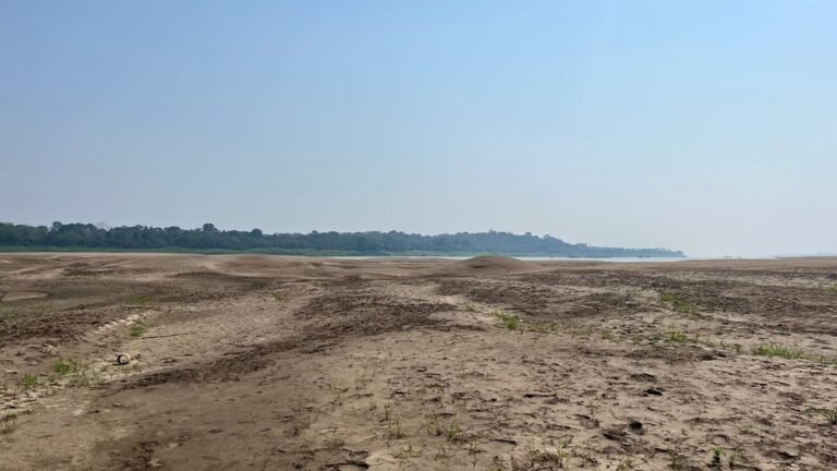 Intensidade do El Niño cai para moderada, mas alerta de seca persiste em Rondônia, diz ANA