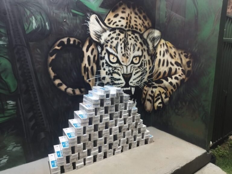 PM apreende mais de mil maços de cigarros contrabandeados da Bolívia