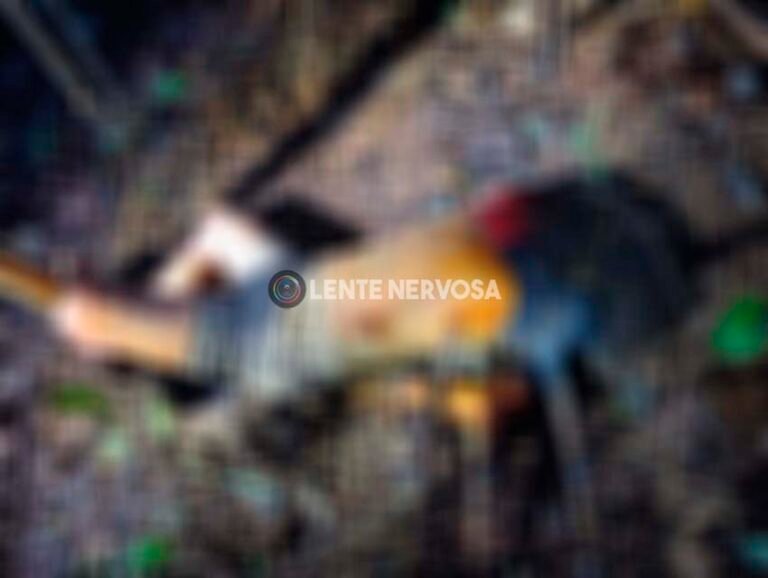 Últimas Notícias 5 Corpo de adolescente que foi decapitado é encontrado com mãos amarradas para trás