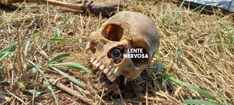 Polícia encontra crânio humano próximo à antiga faculdade Faro em Porto Velho