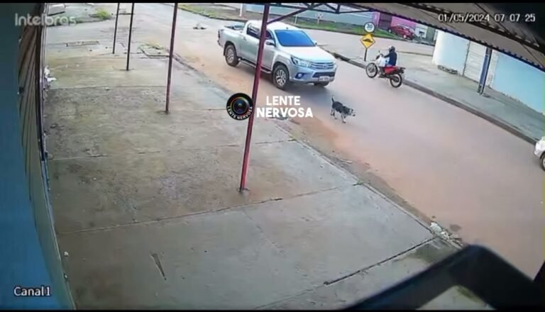 REVOLTANTE – Mulher atropela e mata cachorro na zona leste de Porto Velho – VEJA O VÍDEO