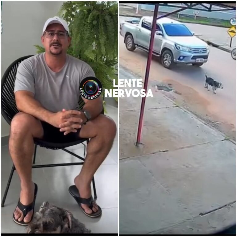 IDENTIFICADA – Secretário de segurança afirma que Polícia Civil já está investigando motorista que atropelou e matou cachorro na zona leste
