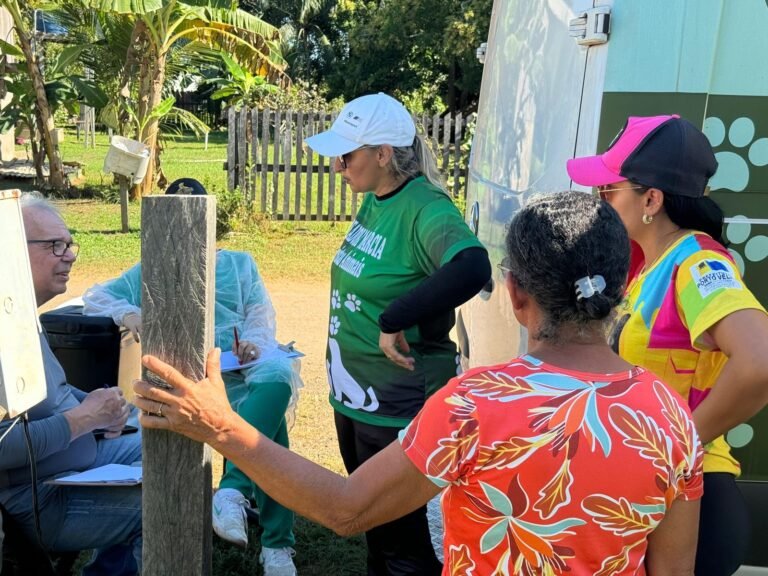 Últimas Notícias 6 Vereadora Márcia Socorristas resgata mais de 50 filhotes no Baixo Madeira