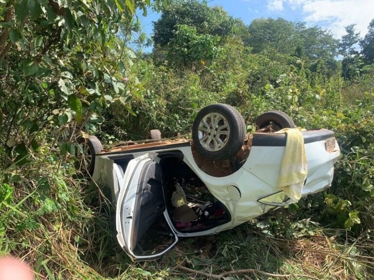 Carro capota na RO-010 próximo a linha 192