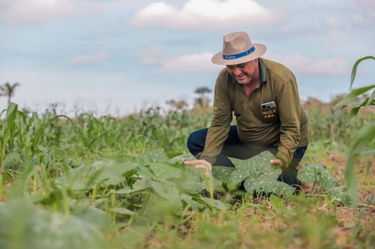 Últimas Notícias 4 Prefeitura de Porto Velho cadastra produtores da agricultura familiar interessados em vender seus produtos para a merenda escolar
