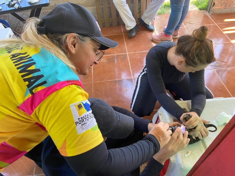 Castra Móvel desce o Baixo Madeira e vereadora Márcia Socorristas Animais destaca importância dos serviços