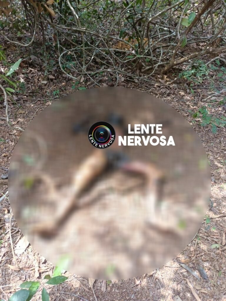 Corpo de jovem desaparecido é encontrado em Porto Velho após quatro dias de buscas