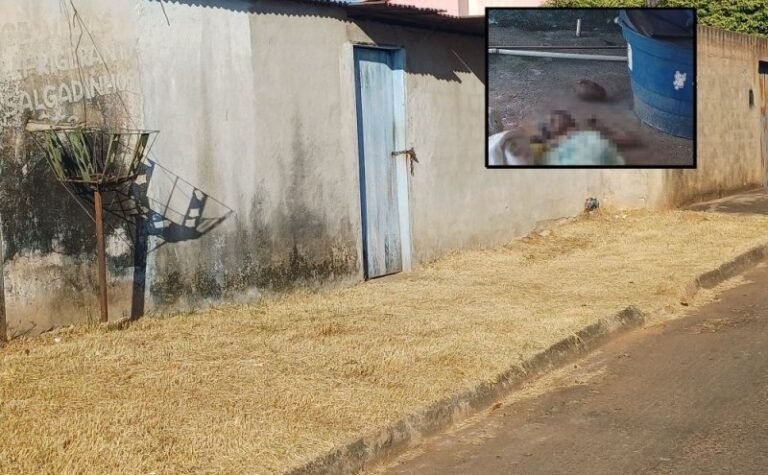 Polícia apura morte de idosa encontrada enrolada em edredom