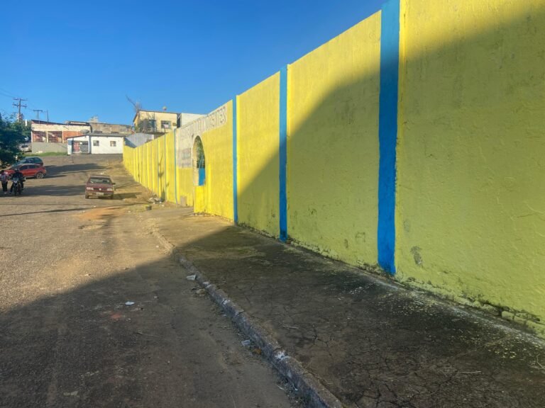 Últimas Notícias 8 Vereador Dr. Gilber Conquista Limpeza da Calçada do Cemitério dos Inocentes