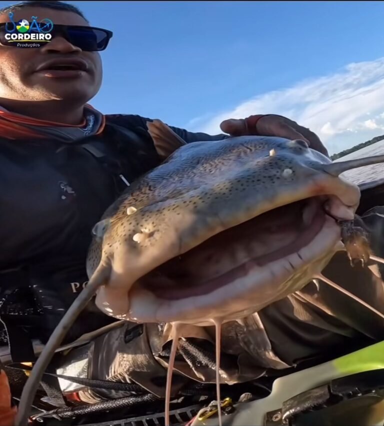 Pescador mostra briga insana durante pescaria de Pirarara no Rio Madeira – VEJA O VÍDEO