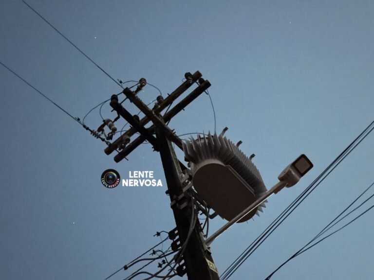 Pássaro pode ter causado apagão em bairros na zona sul