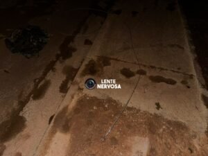 Pássaro pode ter causado apagão em bairros na zona sul