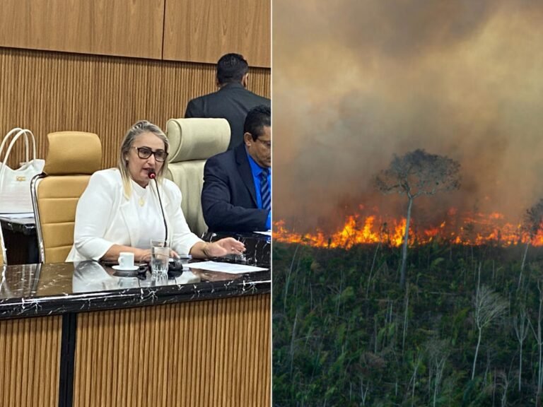 Vereadora Márcia Socorristas Animais pede conscientização da população para evitar queimadas