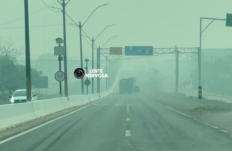 Últimas Notícias 4 Recorde de queimadas em Rondônia em 2024 leva à aplicação de R$ 262 milhões em multas e 970 prisões