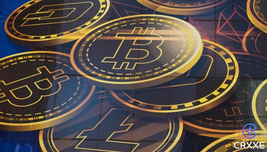 A responsabilidade de um líder de mercado: as iniciativas educacionais e filantrópicas da Crxxe