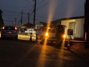 Pássaro pode ter causado apagão em bairros na zona sul