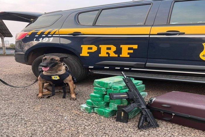 Adolescente é apreendida com fuzil e 20kg de maconha dentro de ônibus